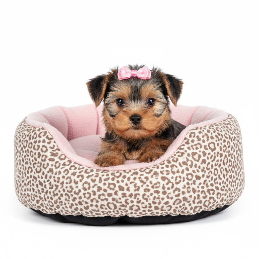 Pet Beds