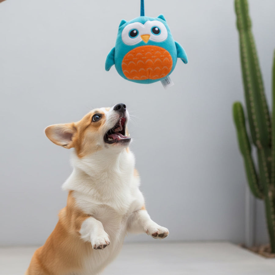 Pet Toys