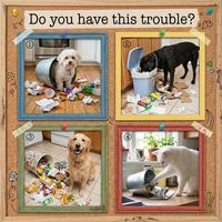 Space-Saving Wall-Mounted Smart Lid Trash Bin