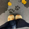 Cozy Cat Paw Slippers - Warm Waterproof Comfort
